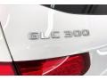 Polar White - GLC 300 Photo No. 31