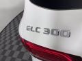 Polar White - GLC 300 Photo No. 43