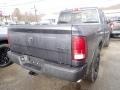 Maximum Steel Metallic - 1500 Classic Quad Cab 4x4 Photo No. 5