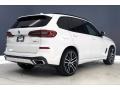 Alpine White - X5 xDrive40i Photo No. 13