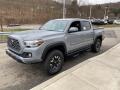 Cement - Tacoma TRD Off Road Double Cab 4x4 Photo No. 12