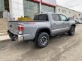 Cement - Tacoma TRD Off Road Double Cab 4x4 Photo No. 13
