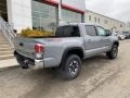 2021 Cement Toyota Tacoma TRD Off Road Double Cab 4x4  photo #13