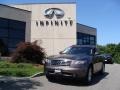 2007 Beryllium 16 Metallic Infiniti FX 35 AWD  photo #1