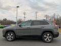 Sting-Gray - Cherokee Limited 4x4 Photo No. 4