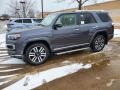 Magnetic Gray Metallic 2021 Toyota 4Runner Limited 4x4 Exterior