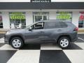 Lunar Rock - RAV4 XLE Photo No. 1