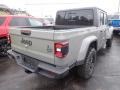 Sting-Gray - Gladiator Willys 4x4 Photo No. 6