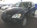 Black - ML 350 4Matic Photo No. 1