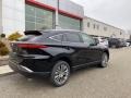 Celestial Black - Venza Hybrid XLE AWD Photo No. 13