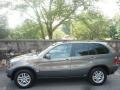 Stratus Grey Metallic - X5 3.0i Photo No. 14