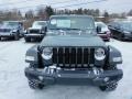 Sting-Gray - Wrangler Unlimited Willys 4x4 Photo No. 2