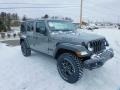 Sting-Gray - Wrangler Unlimited Willys 4x4 Photo No. 3