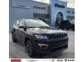 Diamond Black Crystal Pearl - Compass 80th Special Edition 4x4 Photo No. 1
