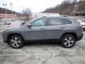 Sting-Gray - Cherokee Limited 4x4 Photo No. 2
