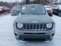 2021 Sting-Gray Jeep Renegade Sport  photo #2