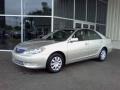 Desert Sand Mica - Camry LE Photo No. 3