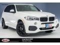 Alpine White - X5 sDrive35i Photo No. 1