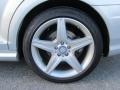Iridium Silver Metallic - S 550 4Matic Sedan Photo No. 26
