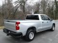 2019 Silver Ice Metallic Chevrolet Silverado 1500 WT Double Cab 4WD  photo #6