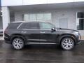 2021 Becketts Black Hyundai Palisade SEL AWD  photo #2