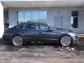 Portofino Gray - Sonata Limited Hybrid Photo No. 2