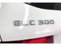 Polar White - GLC 300 Photo No. 31