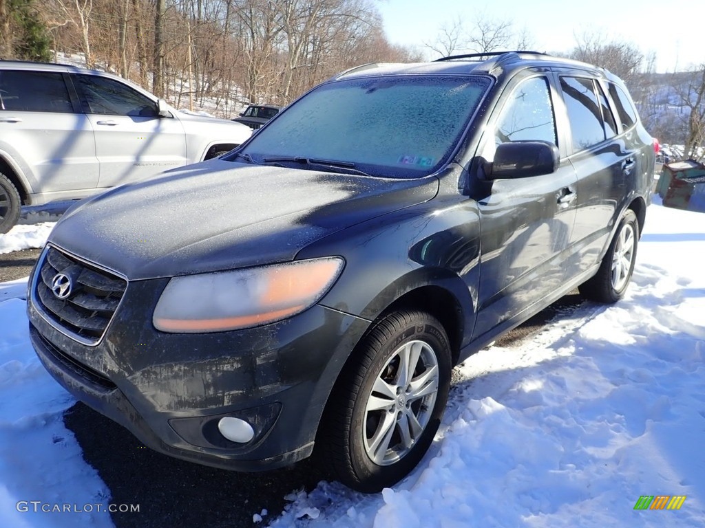 2010 Santa Fe Limited 4WD - Black Forest Green Metallic / Beige photo #1