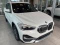Alpine White - X1 xDrive28i Photo No. 1