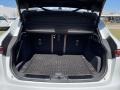 2021 Jaguar F-PACE P250 S Trunk