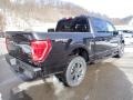 Agate Black - F150 XLT SuperCrew 4x4 Photo No. 2