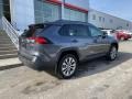 Lunar Rock - RAV4 XLE Premium AWD Photo No. 13