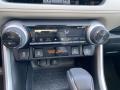 Lunar Rock - RAV4 XLE Premium AWD Photo No. 16