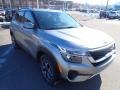 Steel Gray - Seltos EX AWD Photo No. 3