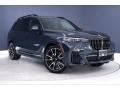 2021 Arctic Gray Metallic BMW X7 xDrive40i  photo #19