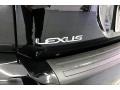 2008 Black Onyx Lexus RX 350  photo #31