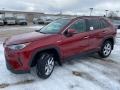 Silver Sky Metallic - RAV4 XLE AWD Photo No. 1