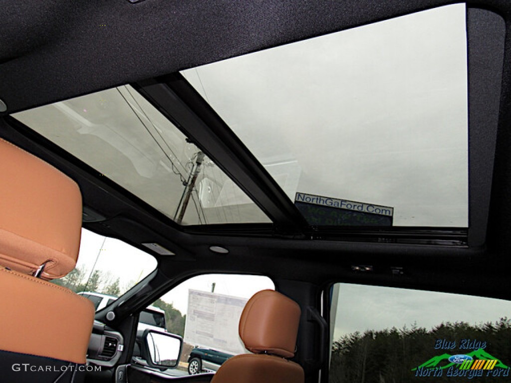 2021 Ford F150 Platinum SuperCrew 4x4 Sunroof Photo #141032033