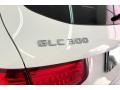 Polar White - GLC 300 Photo No. 31