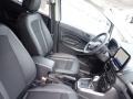 Moondust Silver Metallic - EcoSport SES Photo No. 10