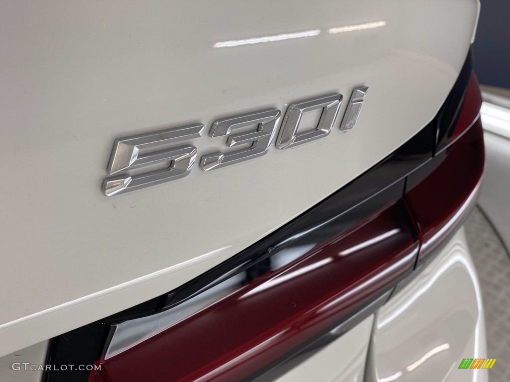 2021 5 Series 530i Sedan - Alpine White / Cognac photo #10