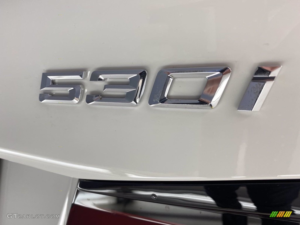 2021 5 Series 530i Sedan - Alpine White / Cognac photo #19