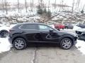 Jet Black Mica - CX-30 Preferred AWD Photo No. 1