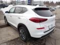 2021 Winter White Hyundai Tucson Limited AWD  photo #6