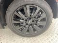 Moonwalk Gray Metallic - Countryman Cooper -Oxford Photo No. 10