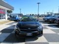Aurora Black Pearl - Stinger Premium Photo No. 2