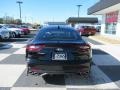Aurora Black Pearl - Stinger Premium Photo No. 4