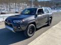 Magnetic Gray Metallic - 4Runner TRD Off Road Premium 4x4 Photo No. 13