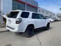 Super White - 4Runner SR5 Premium 4x4 Photo No. 14