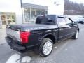 2019 Agate Black Ford F150 Limited SuperCrew 4x4  photo #2